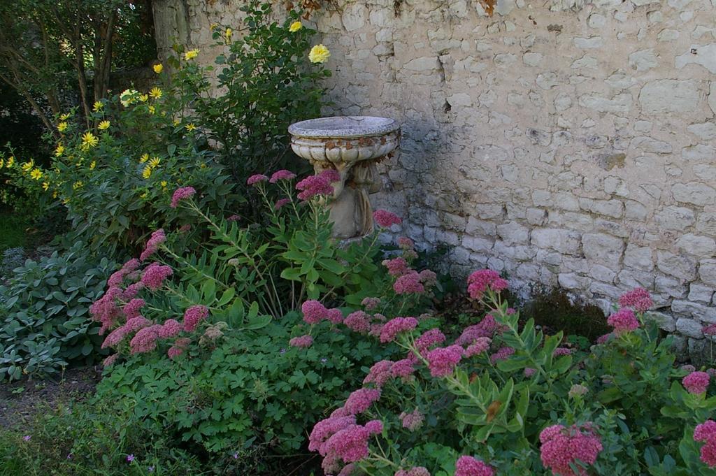 Monts-sur-Guesnes L'Olivierヴィラ エクステリア 写真