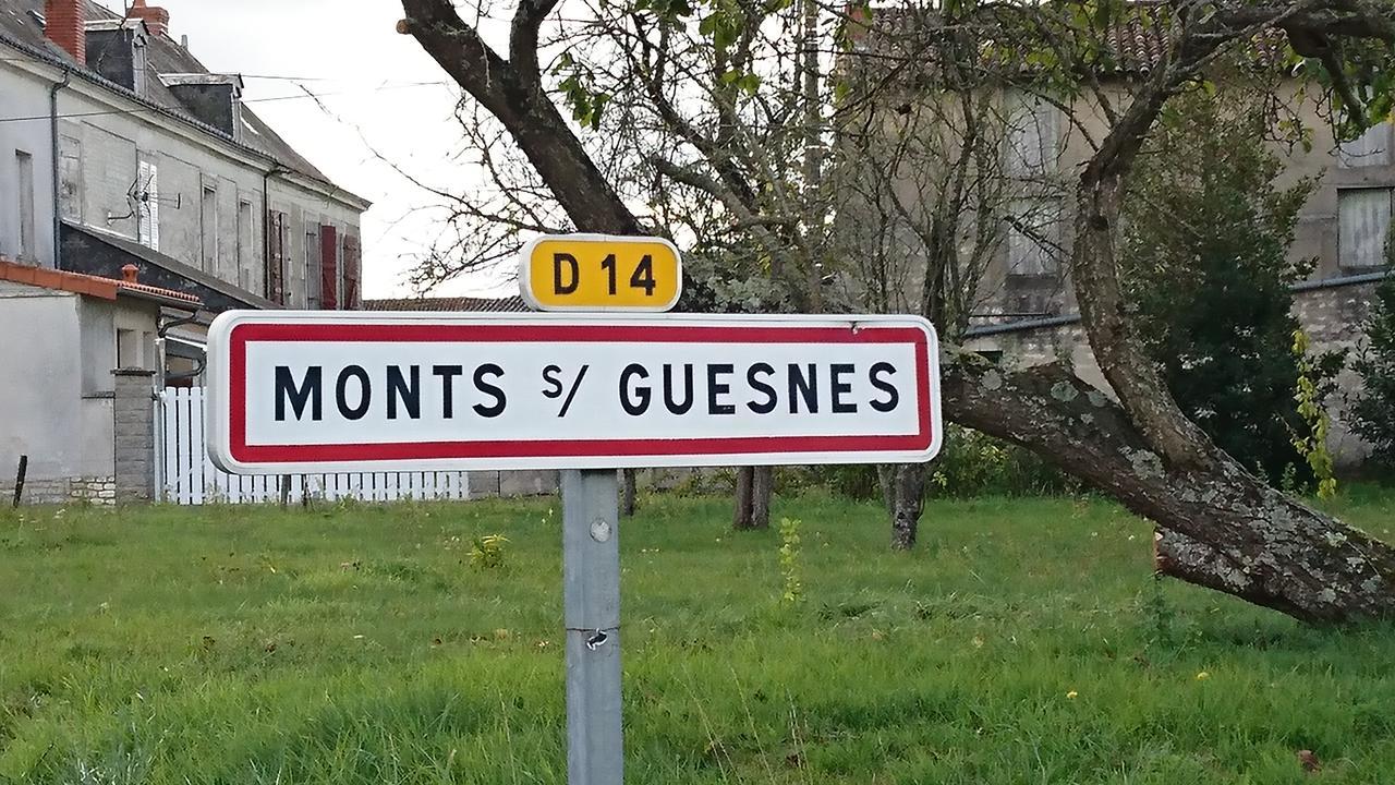 Monts-sur-Guesnes L'Olivierヴィラ エクステリア 写真