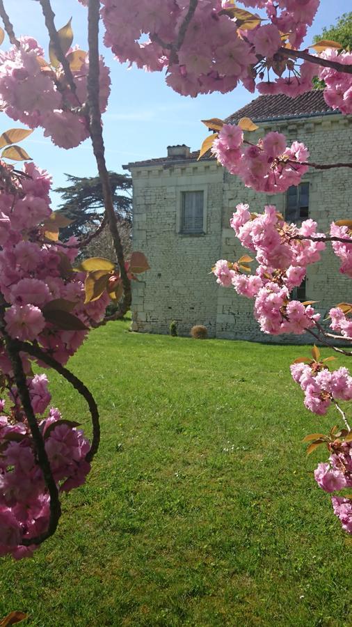 Monts-sur-Guesnes L'Olivierヴィラ エクステリア 写真