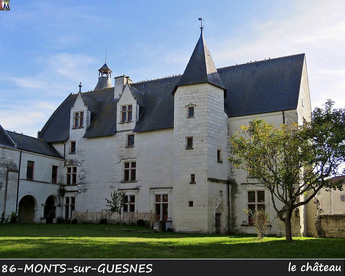 Monts-sur-Guesnes L'Olivierヴィラ エクステリア 写真
