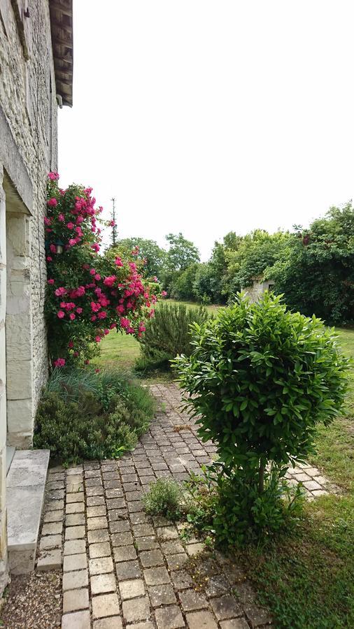 Monts-sur-Guesnes L'Olivierヴィラ エクステリア 写真